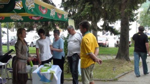 bulbs_andrijevica